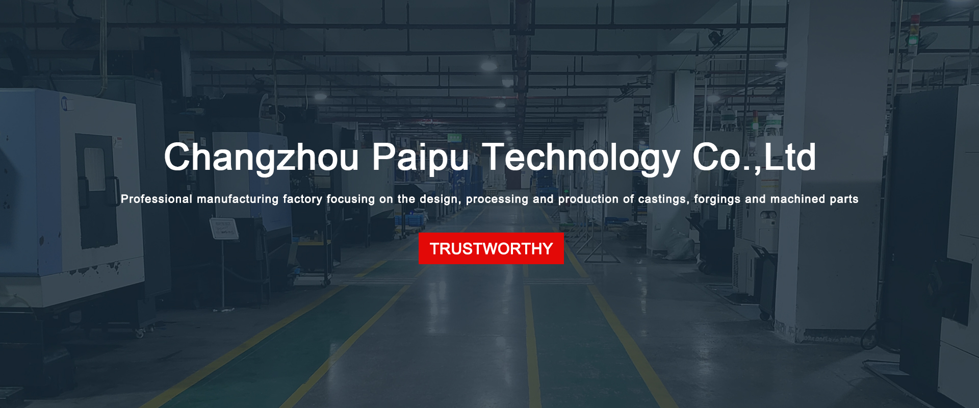 Changzhou Paipu Technology Co.,Ltd